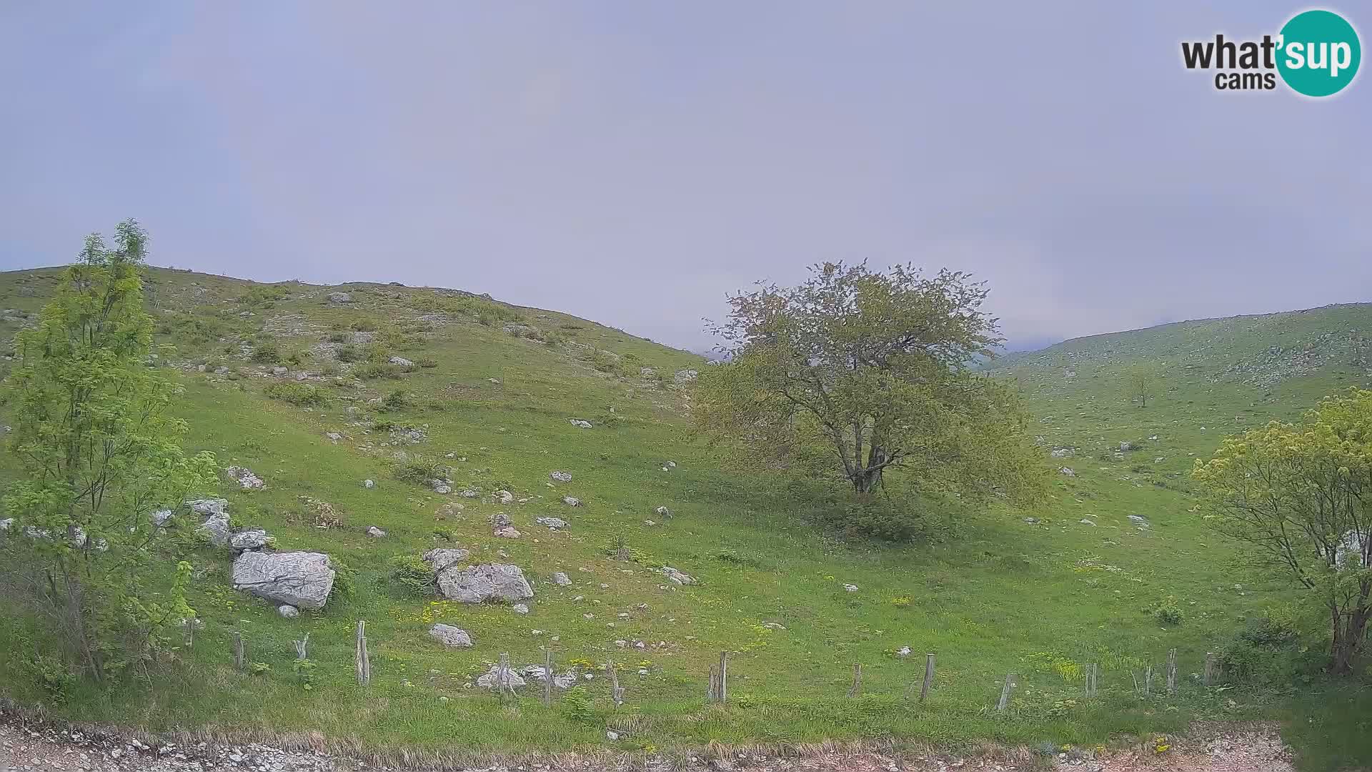 Cámara en Vivo de Planina Kuhinja – KRN – Kobarid – Eslovenia
