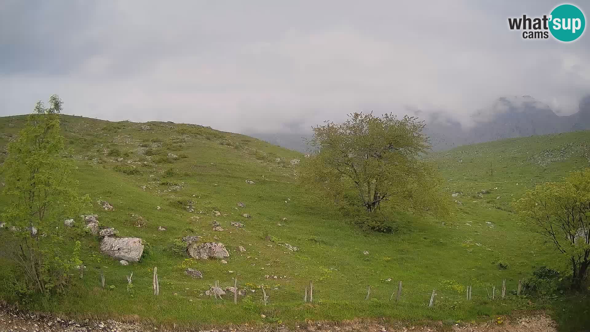 Web kamera Planina Kuhinja – KRN – Kobarid – Slovenija
