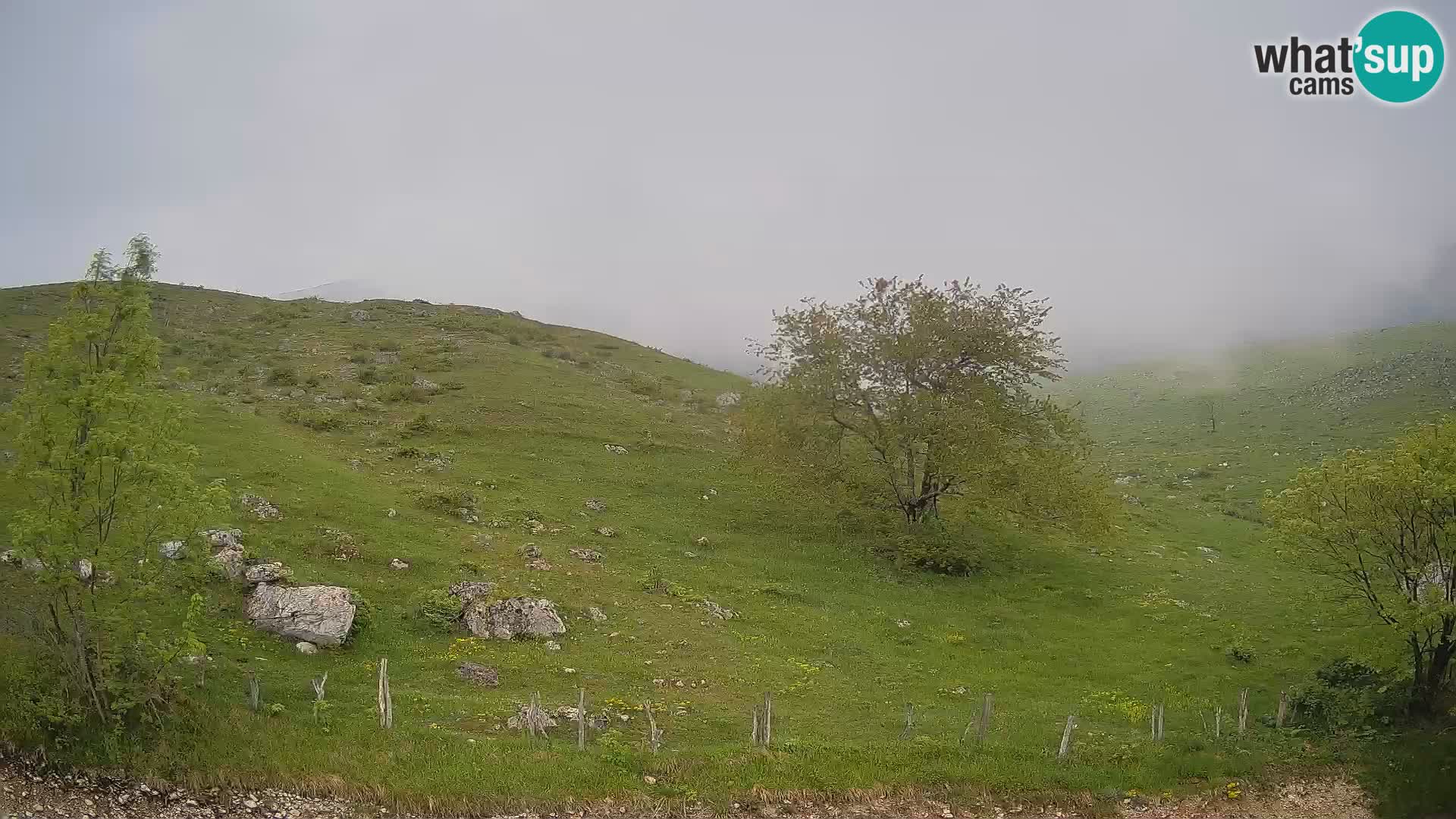 Webcam Planina Kuhinja – KRN – Kobarid – Slowenien