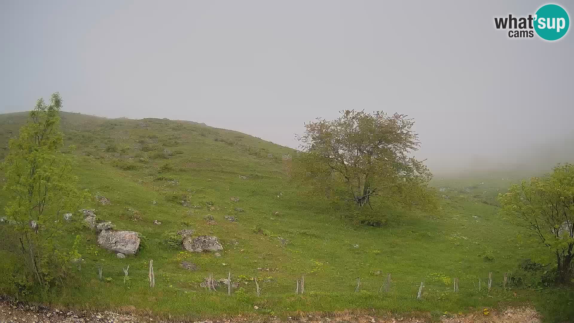 Live cam Planina Kuhinja – Monte Nero ( Krn ) – Caporetto – Slovenia