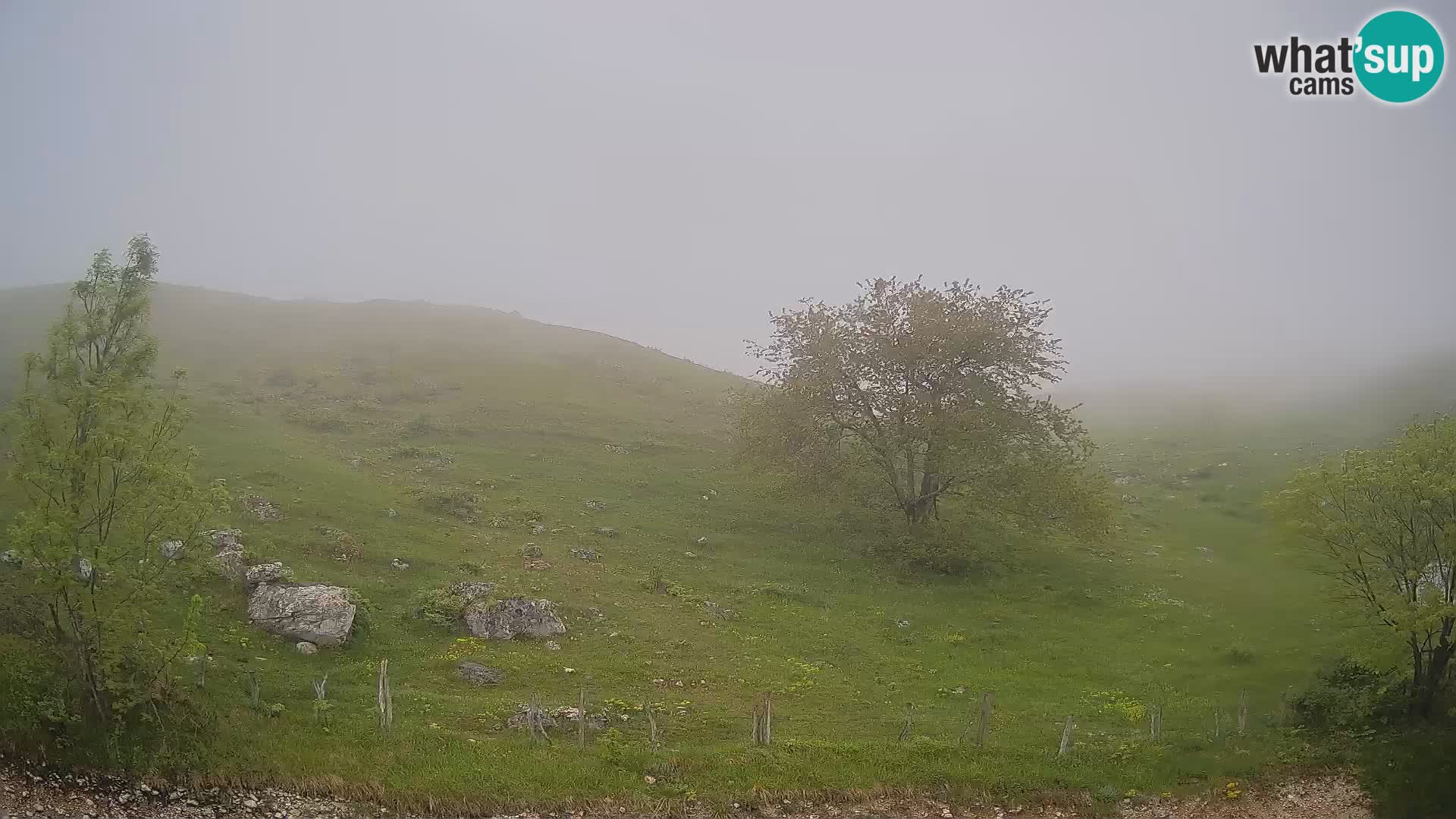 Webcam Krn – Planina Kuhinja ( Plateau Kuhinja ) – Kobarid – Slovenia