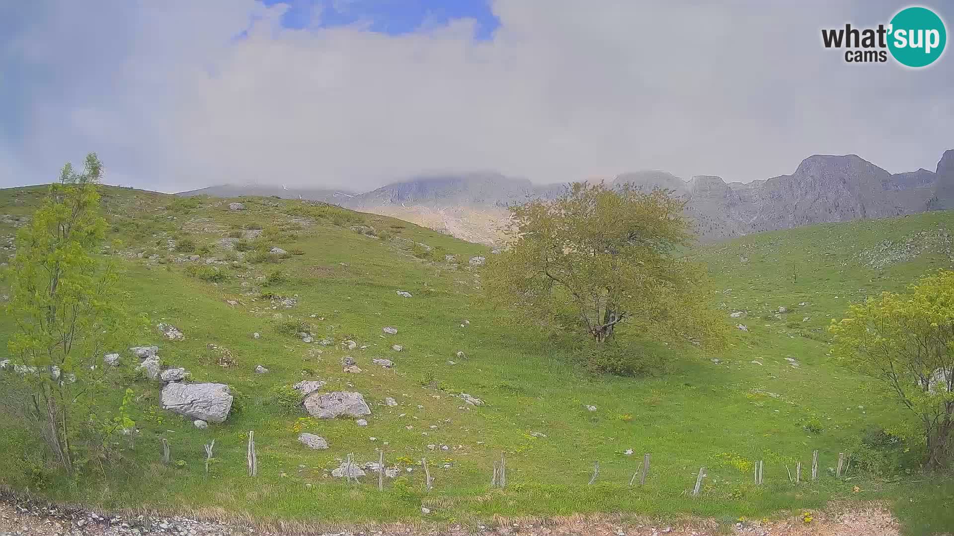 Cámara en Vivo de Planina Kuhinja – KRN – Kobarid – Eslovenia