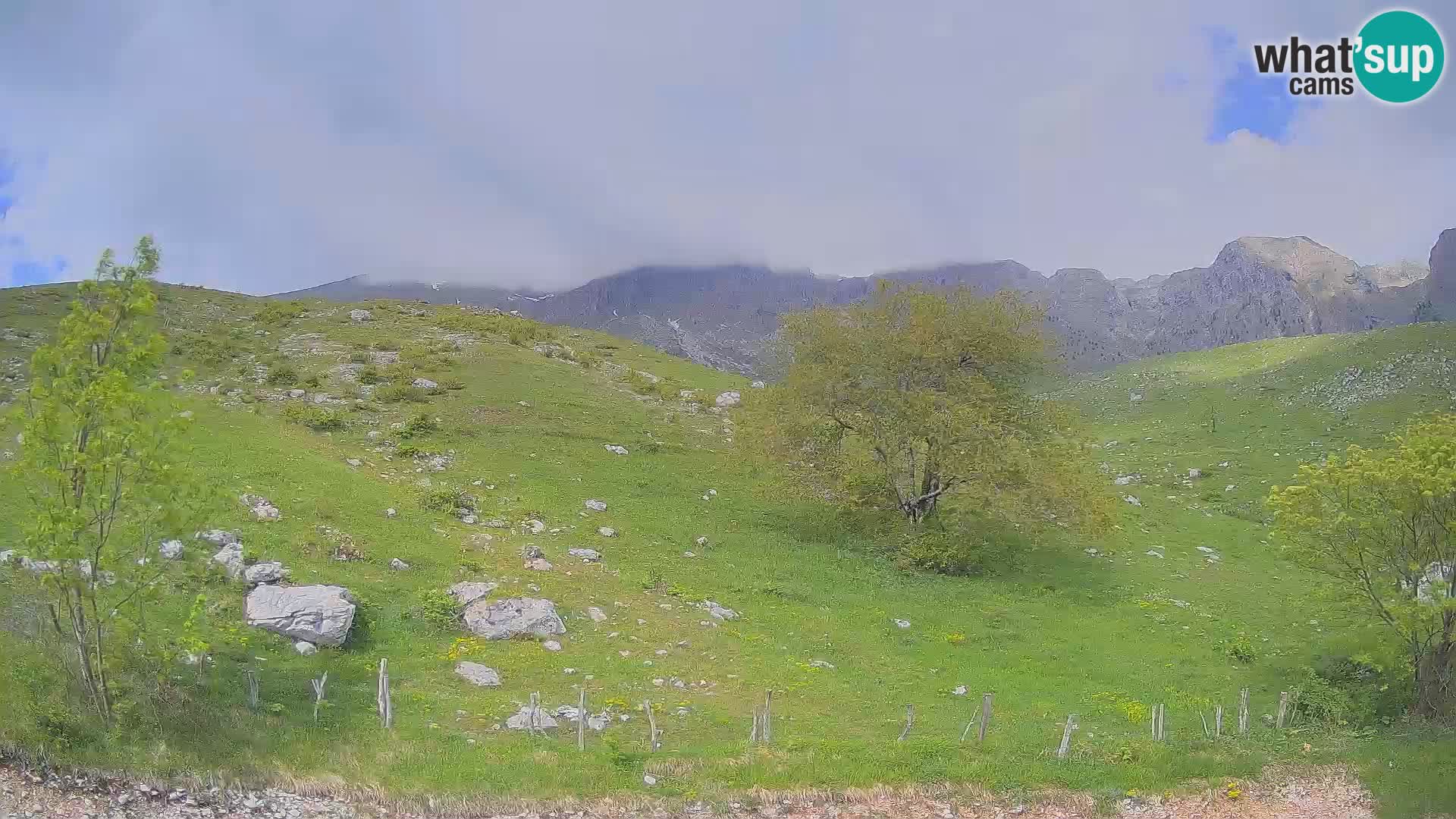 Webcam Krn – Planina Kuhinja ( Plateau Kuhinja ) – Kobarid – Slovenia