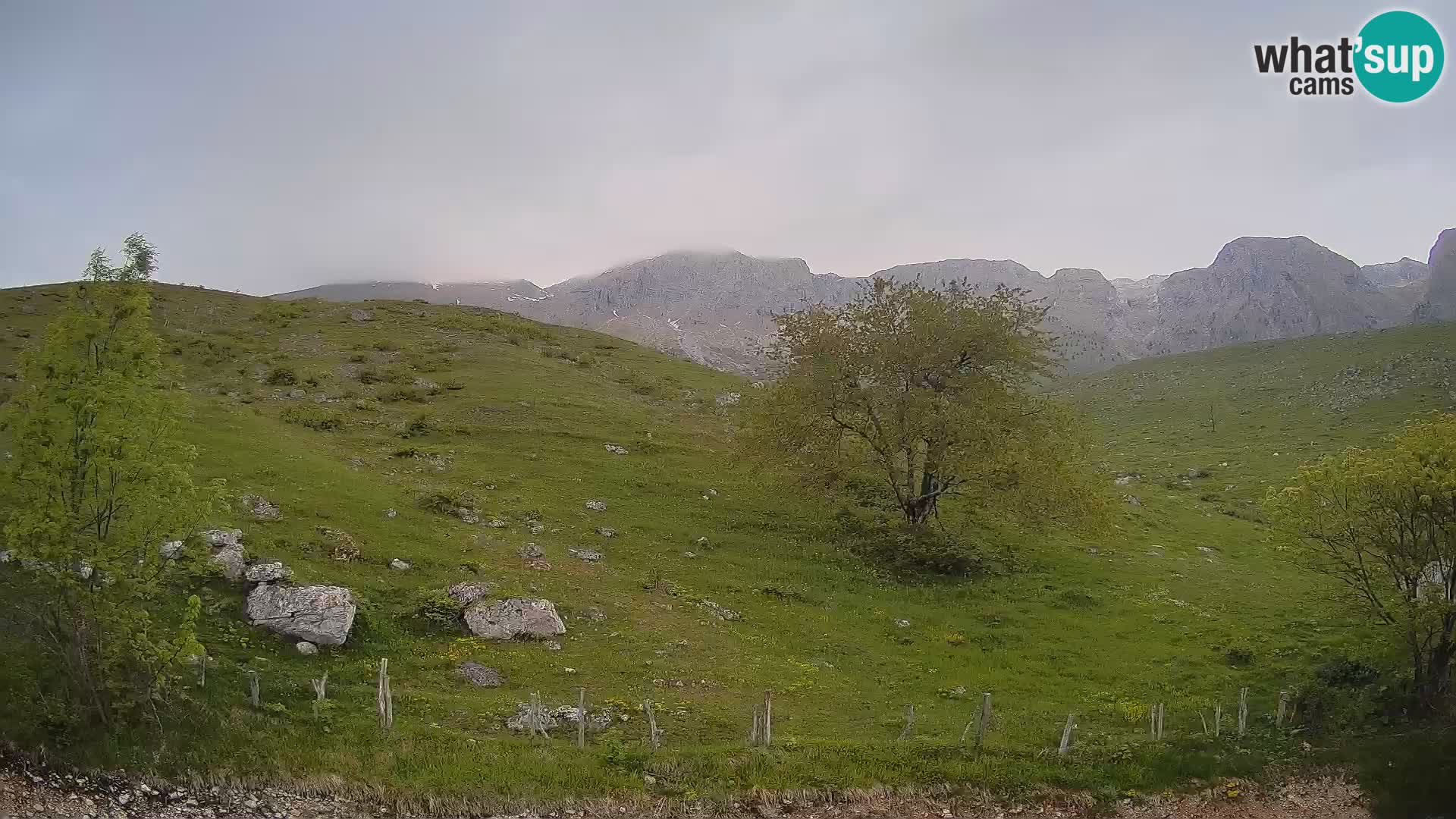 Webcam Krn – Planina Kuhinja ( Plateau Kuhinja ) – Kobarid – Slovenia