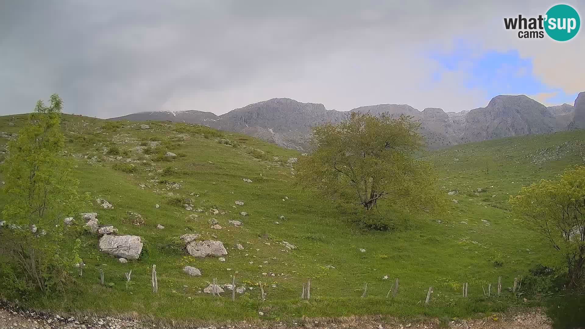 Cámara en Vivo de Planina Kuhinja – KRN – Kobarid – Eslovenia