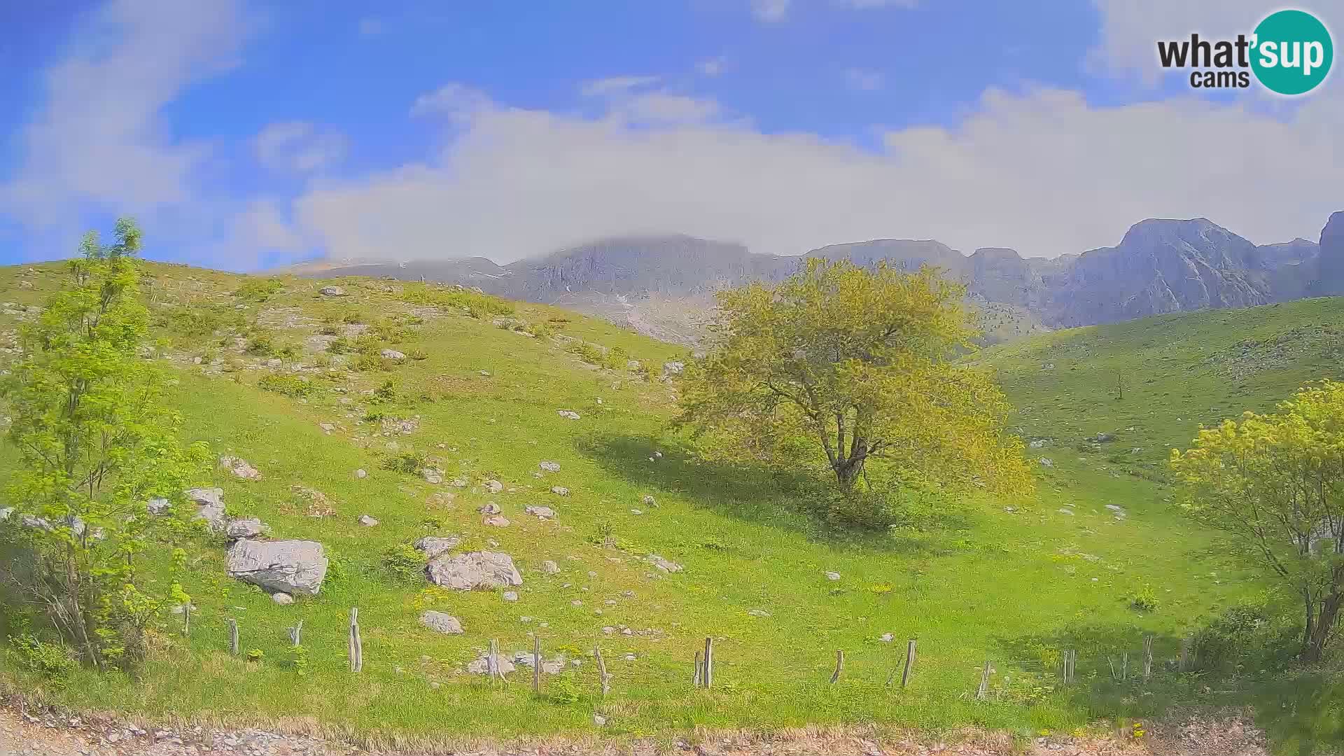 Cámara en Vivo de Planina Kuhinja – KRN – Kobarid – Eslovenia