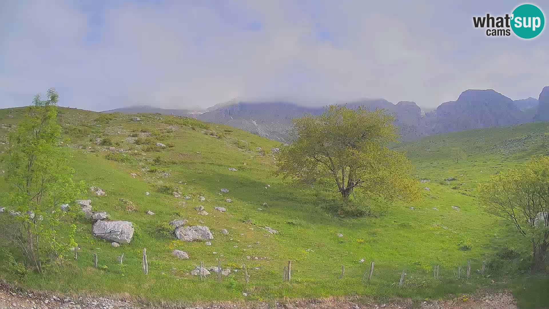 Spletna kamera Planina Kuhinja – KRN – Kobarid