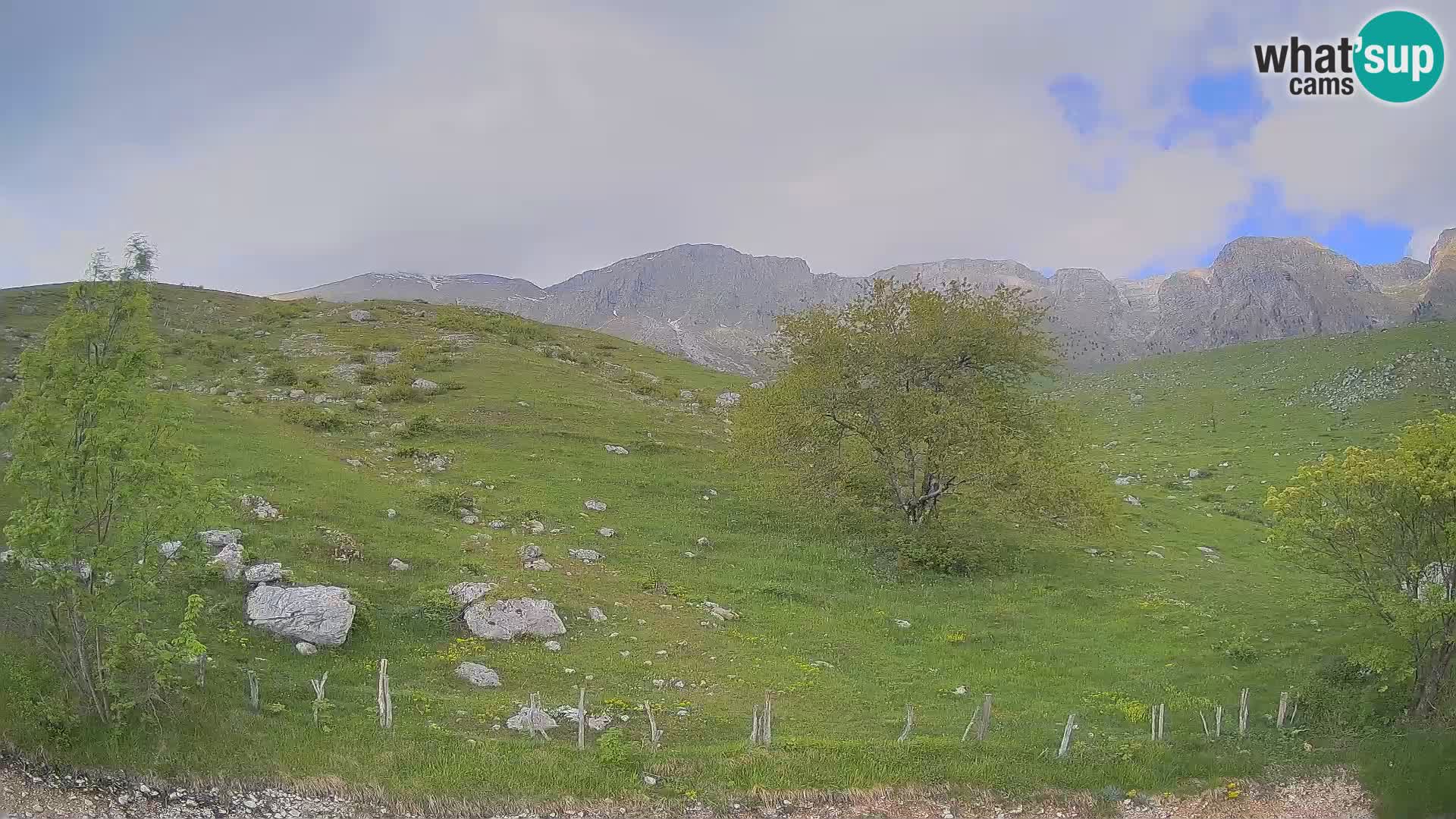 Cámara en Vivo de Planina Kuhinja – KRN – Kobarid – Eslovenia