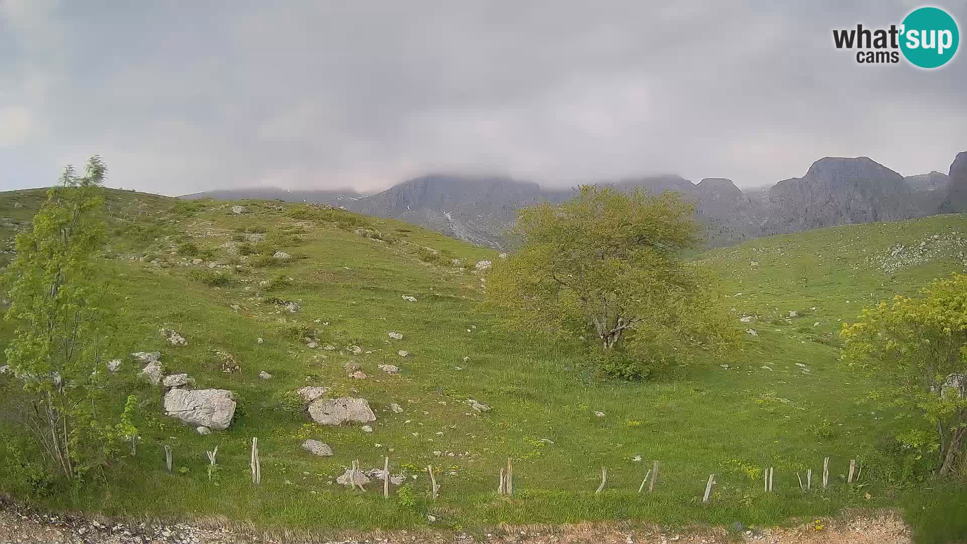 Spletna kamera Planina Kuhinja – KRN – Kobarid