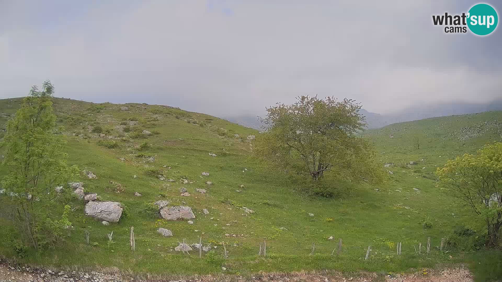 Live cam Planina Kuhinja – Monte Nero ( Krn ) – Caporetto – Slovenia