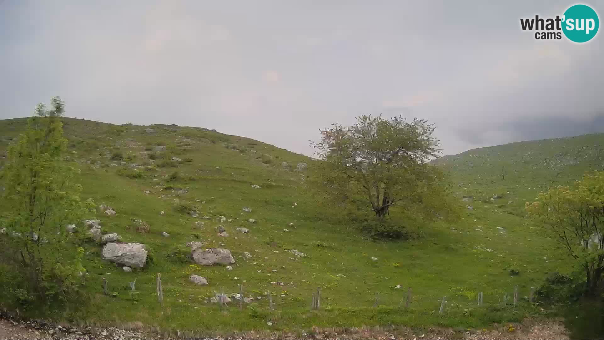 Web kamera Planina Kuhinja – KRN – Kobarid – Slovenija