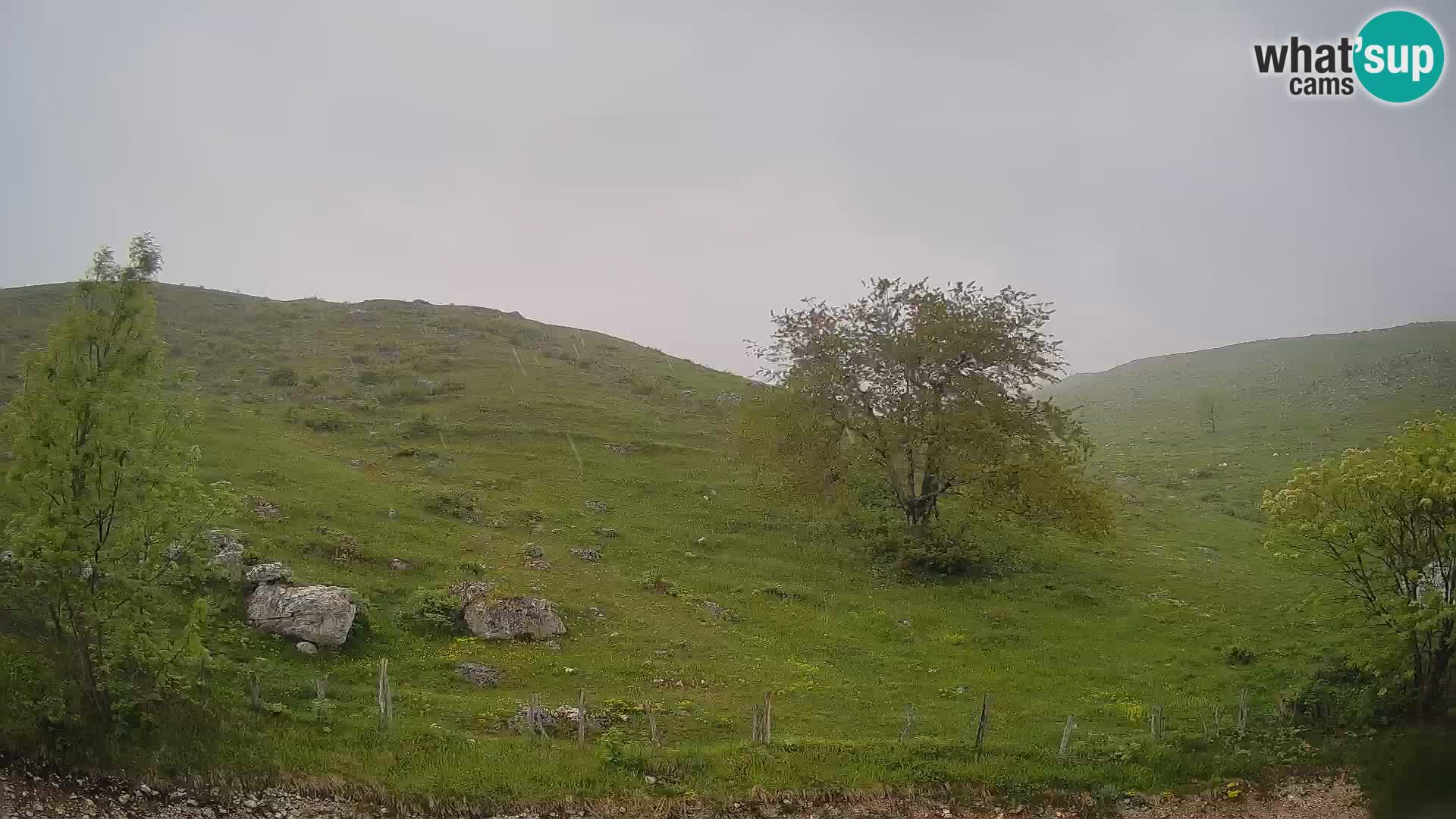 Webcam Krn – Planina Kuhinja ( Plateau Kuhinja ) – Kobarid – Slovenia