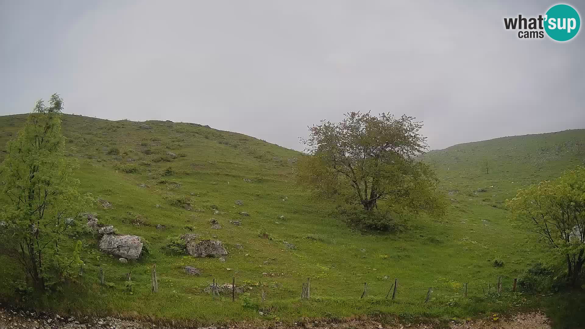 Cámara en Vivo de Planina Kuhinja – KRN – Kobarid – Eslovenia