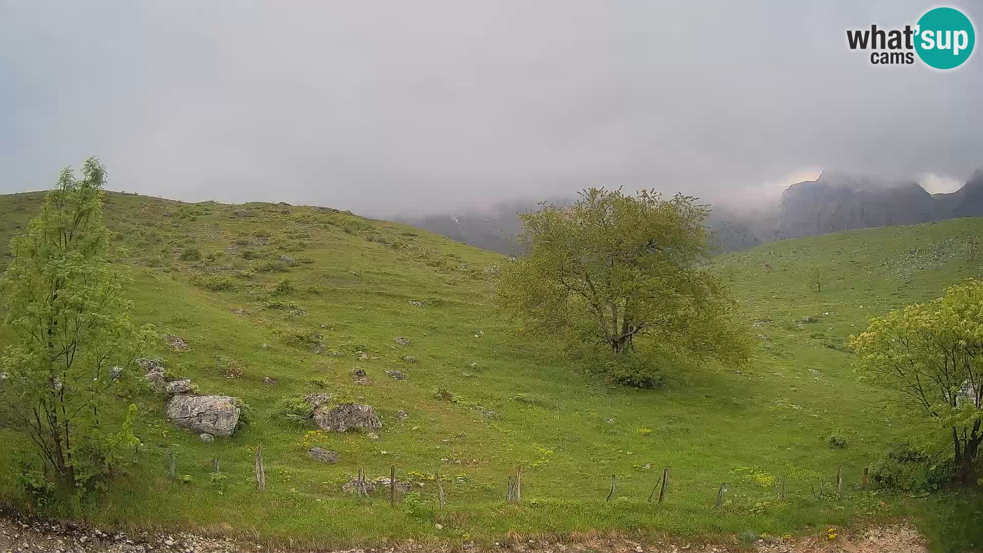 Webcam Krn – Planina Kuhinja ( Plateau Kuhinja ) – Kobarid – Slovenia