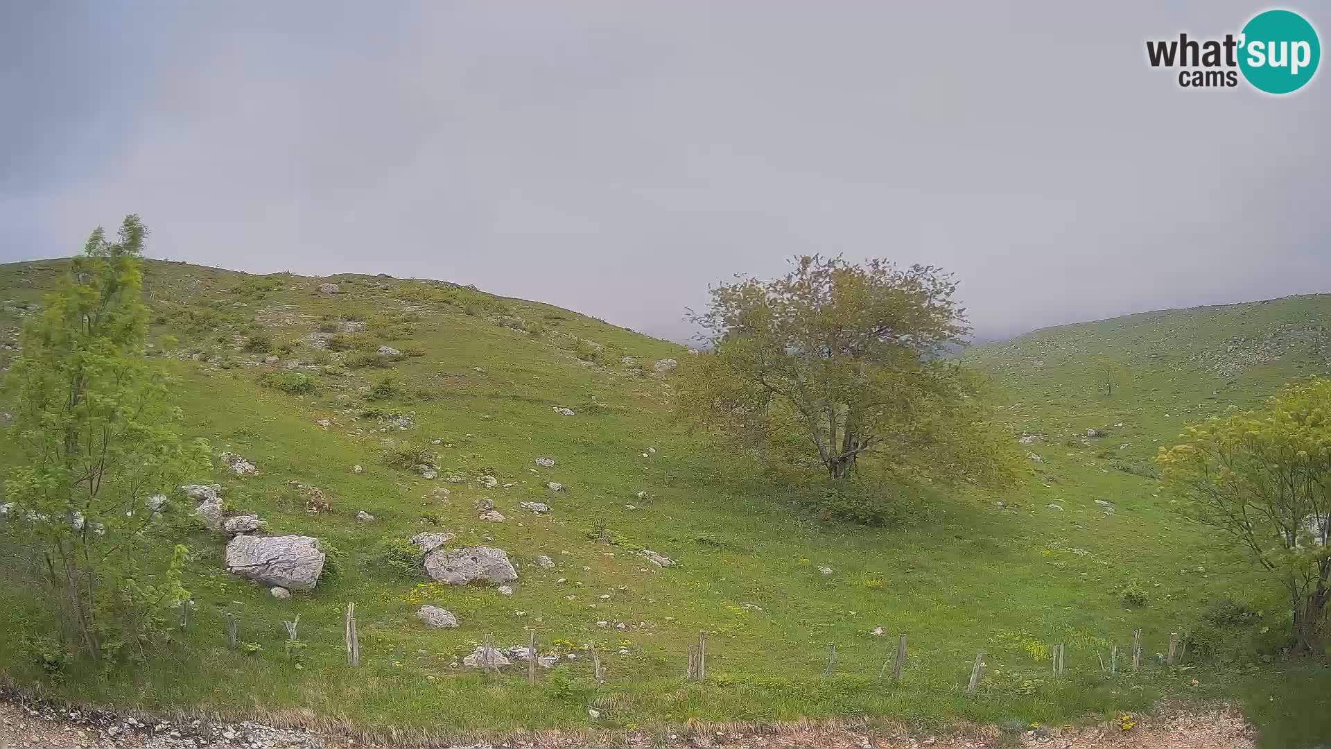 Livecam Planina Kuhinja – KRN- Kobarid – Slovénie