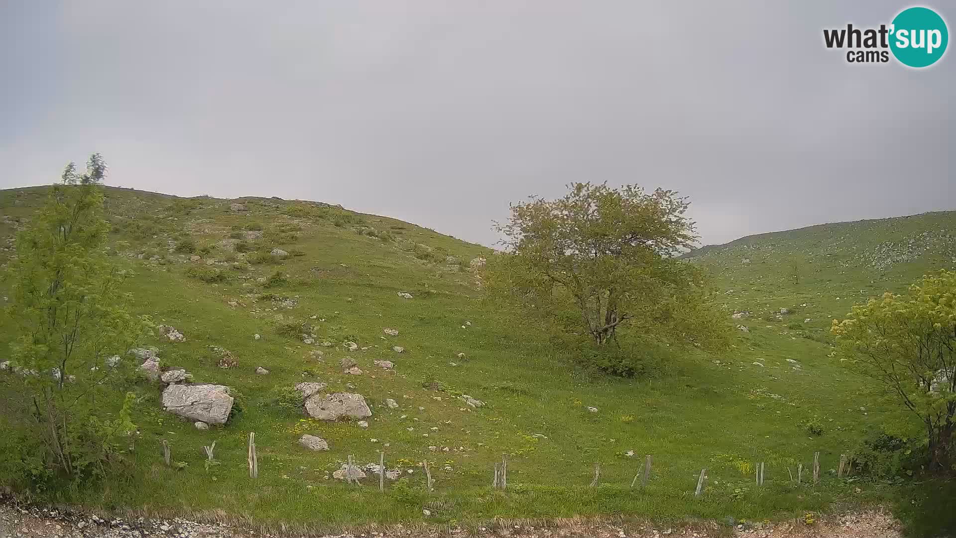 Webcam Krn – Planina Kuhinja ( Plateau Kuhinja ) – Kobarid – Slovenia