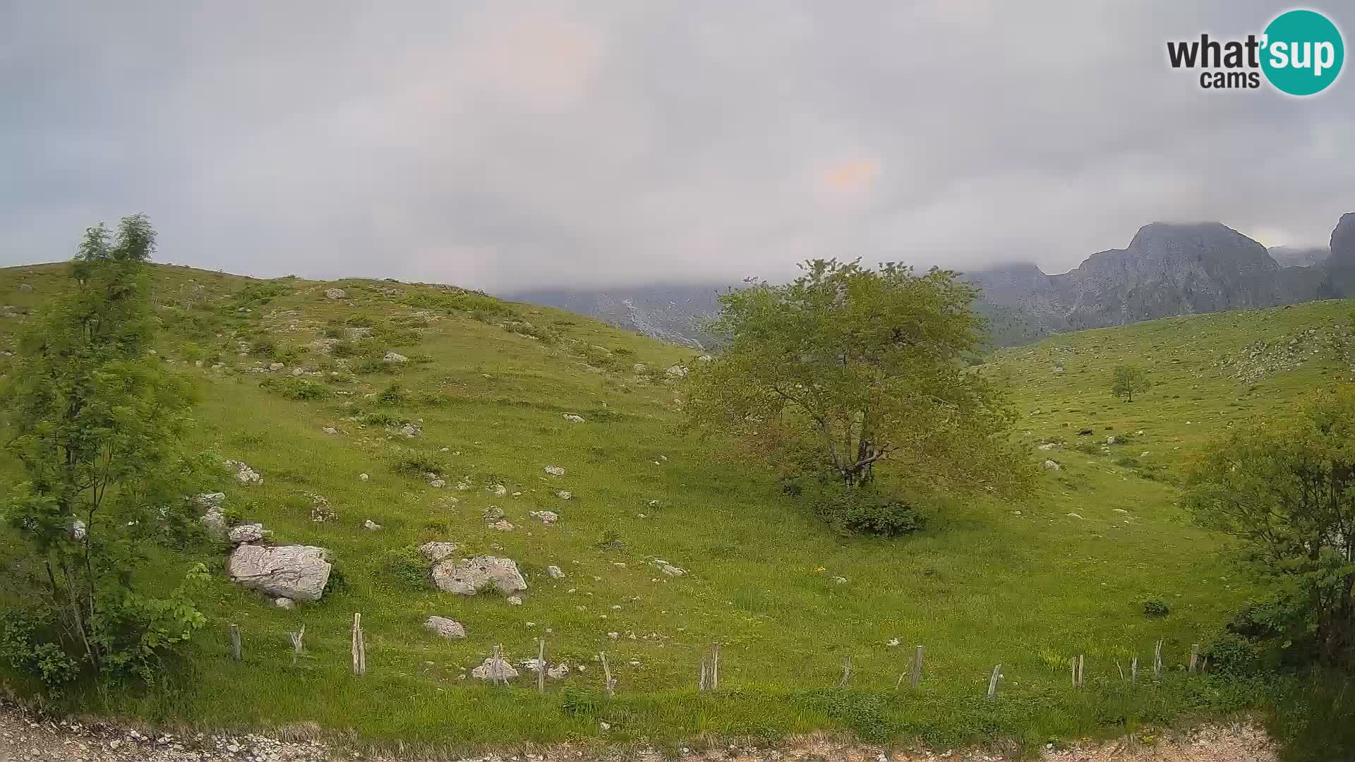Web kamera Planina Kuhinja – KRN – Kobarid – Slovenija
