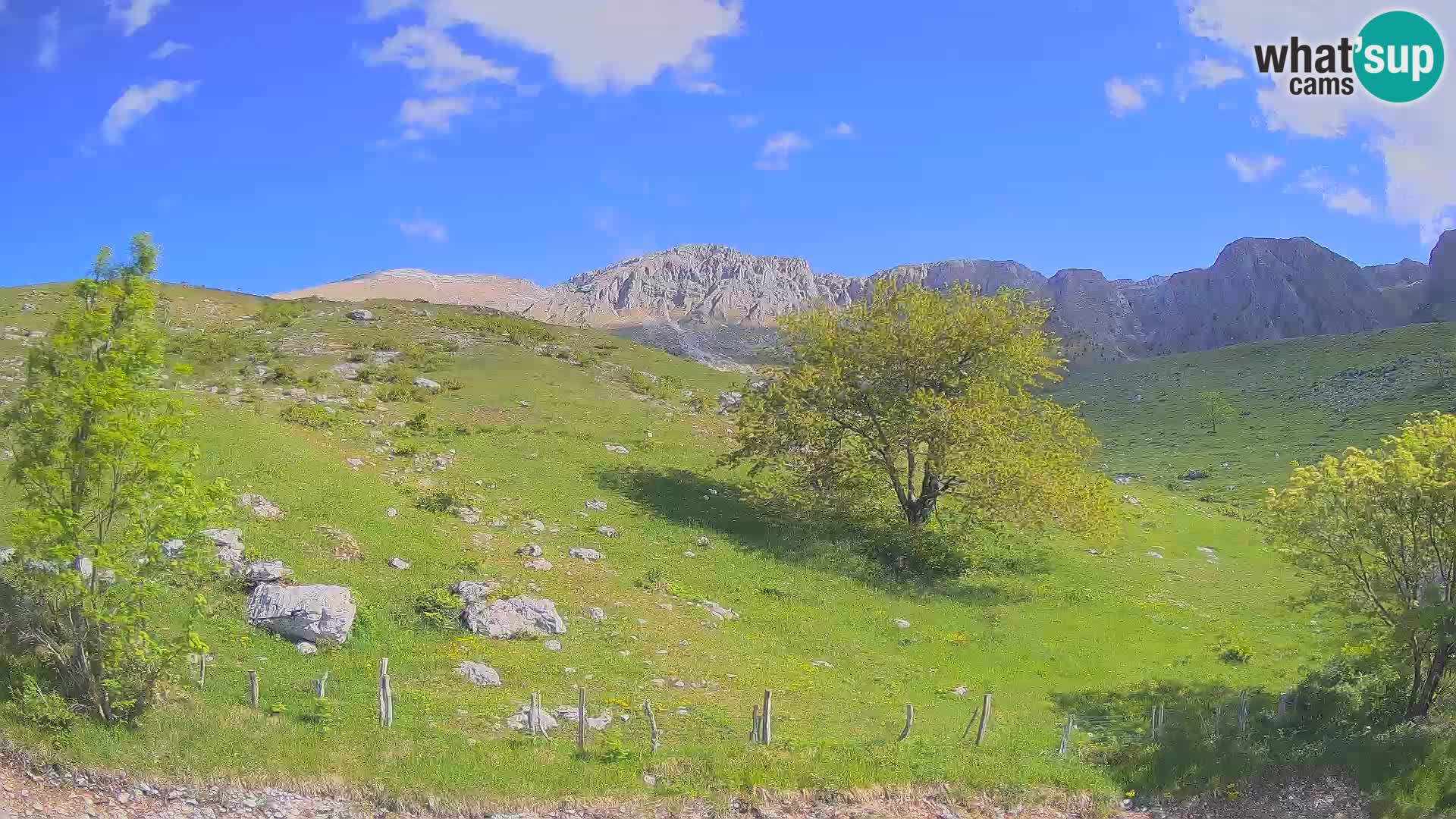Webcam Krn – Planina Kuhinja ( Plateau Kuhinja ) – Kobarid – Slovenia