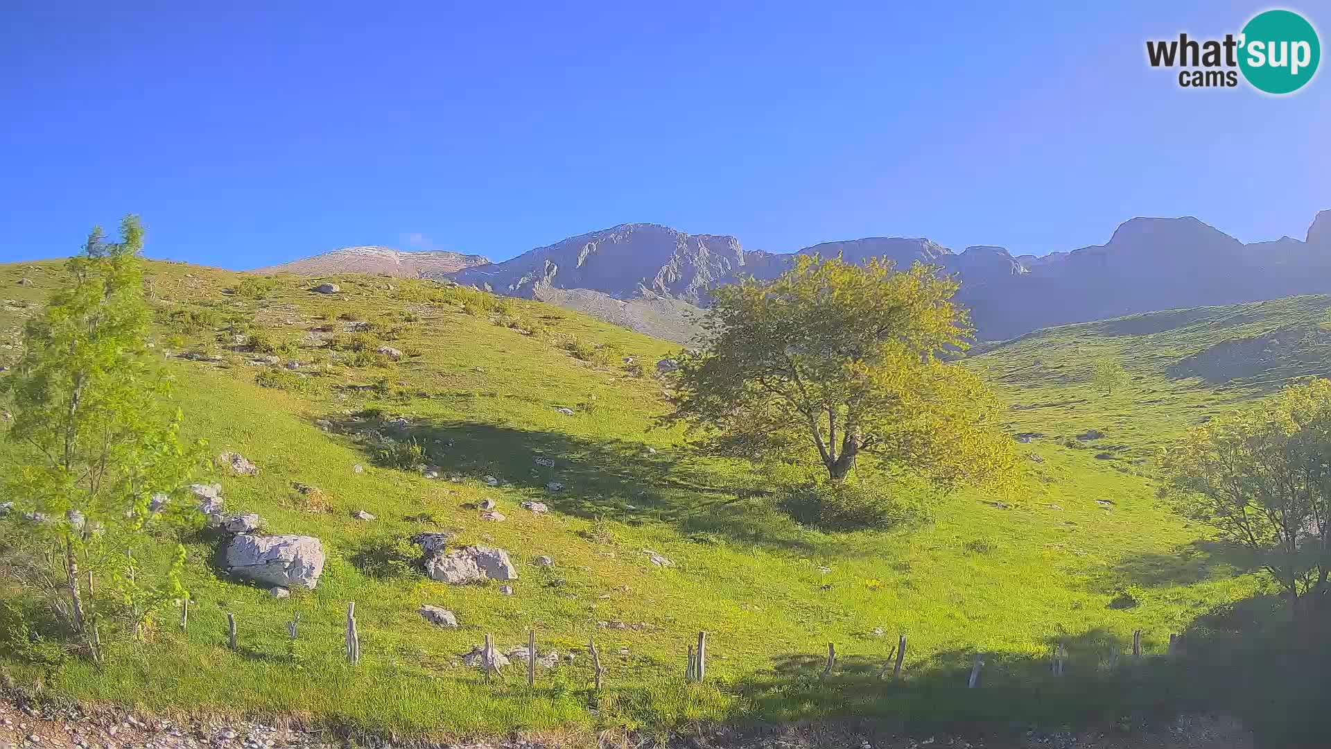 Live cam Planina Kuhinja – Monte Nero ( Krn ) – Caporetto – Slovenia