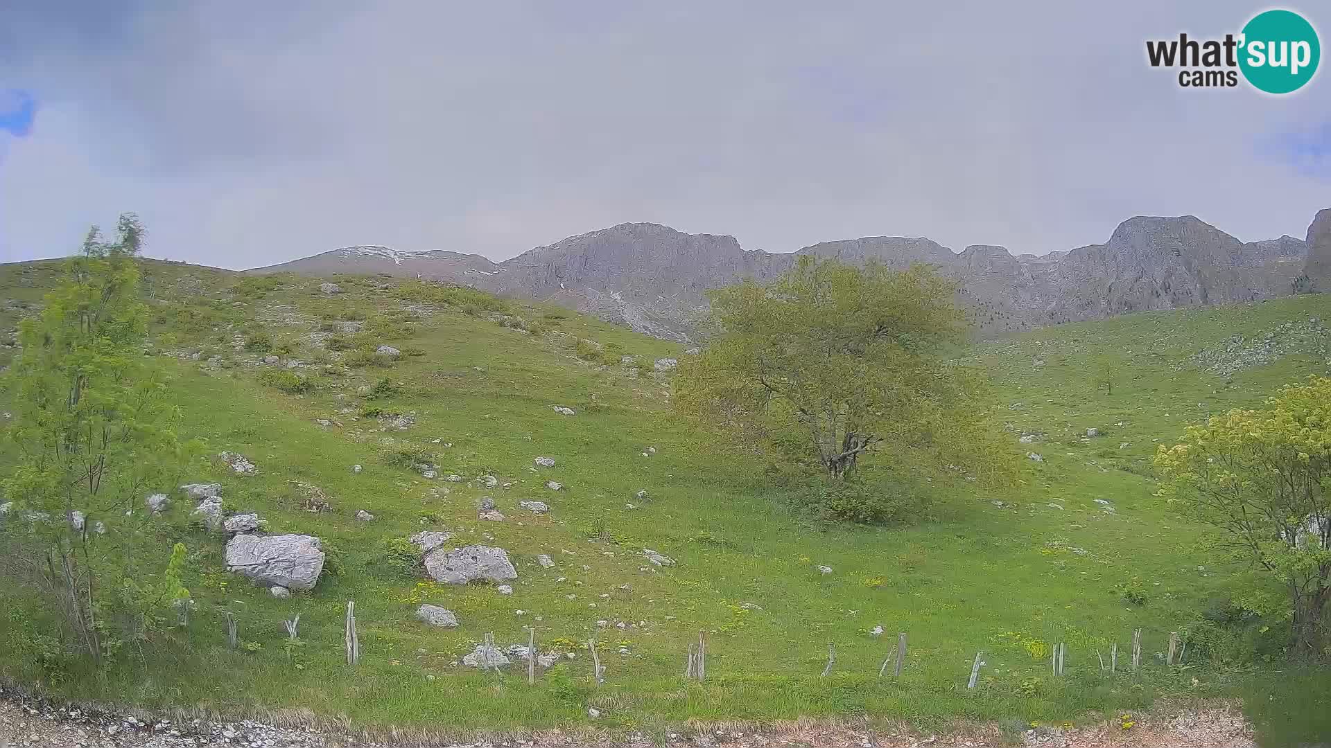 Live cam Planina Kuhinja – Monte Nero ( Krn ) – Caporetto – Slovenia