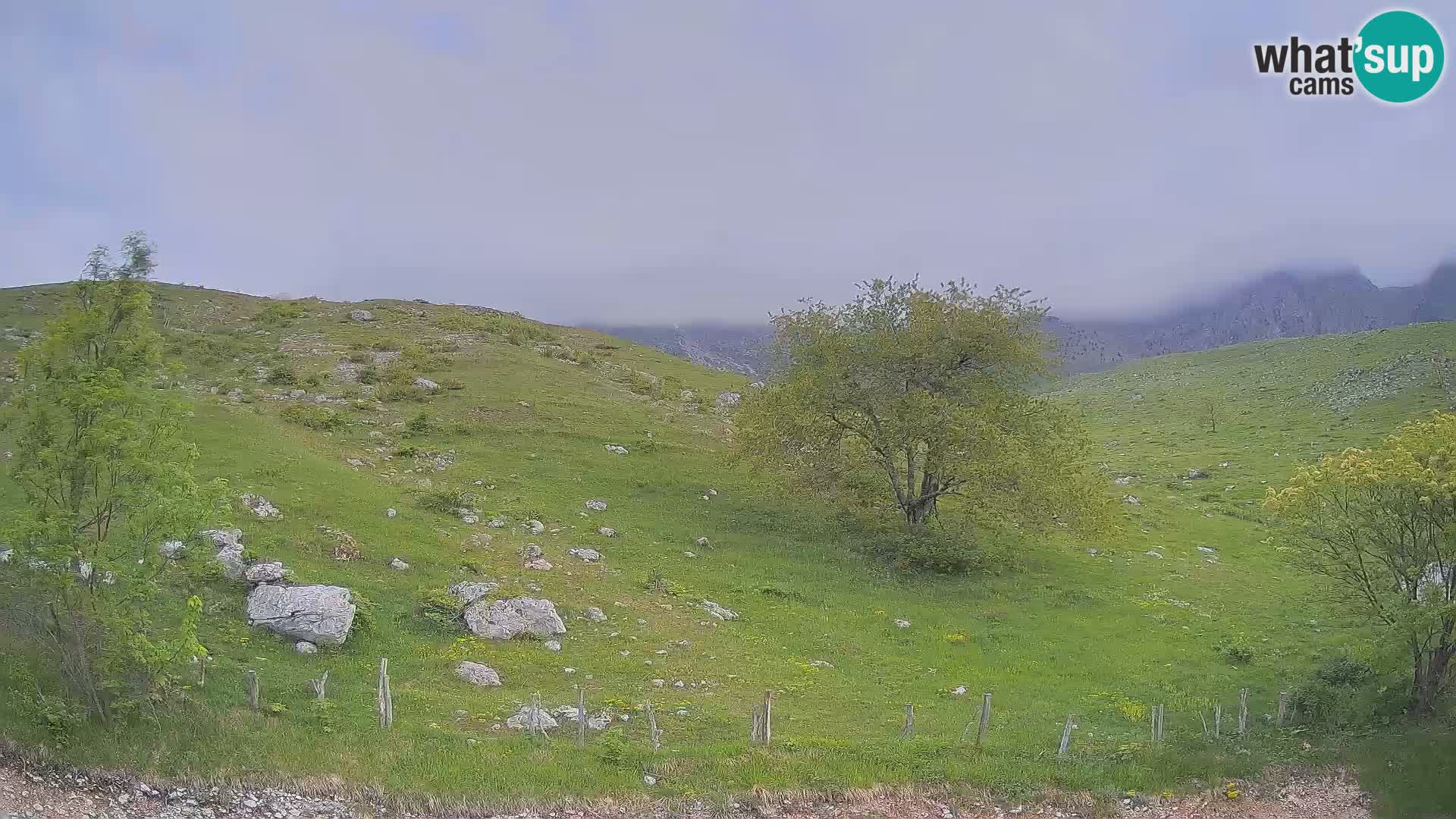 Spletna kamera Planina Kuhinja – KRN – Kobarid