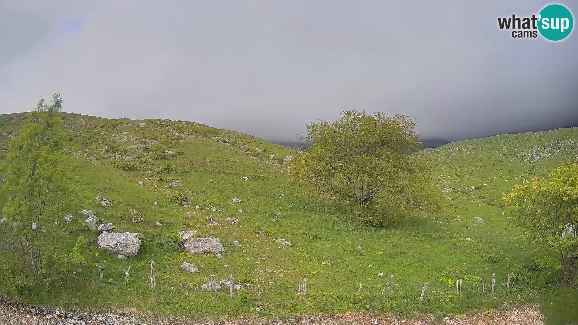 Web kamera Planina Kuhinja – KRN – Kobarid – Slovenija