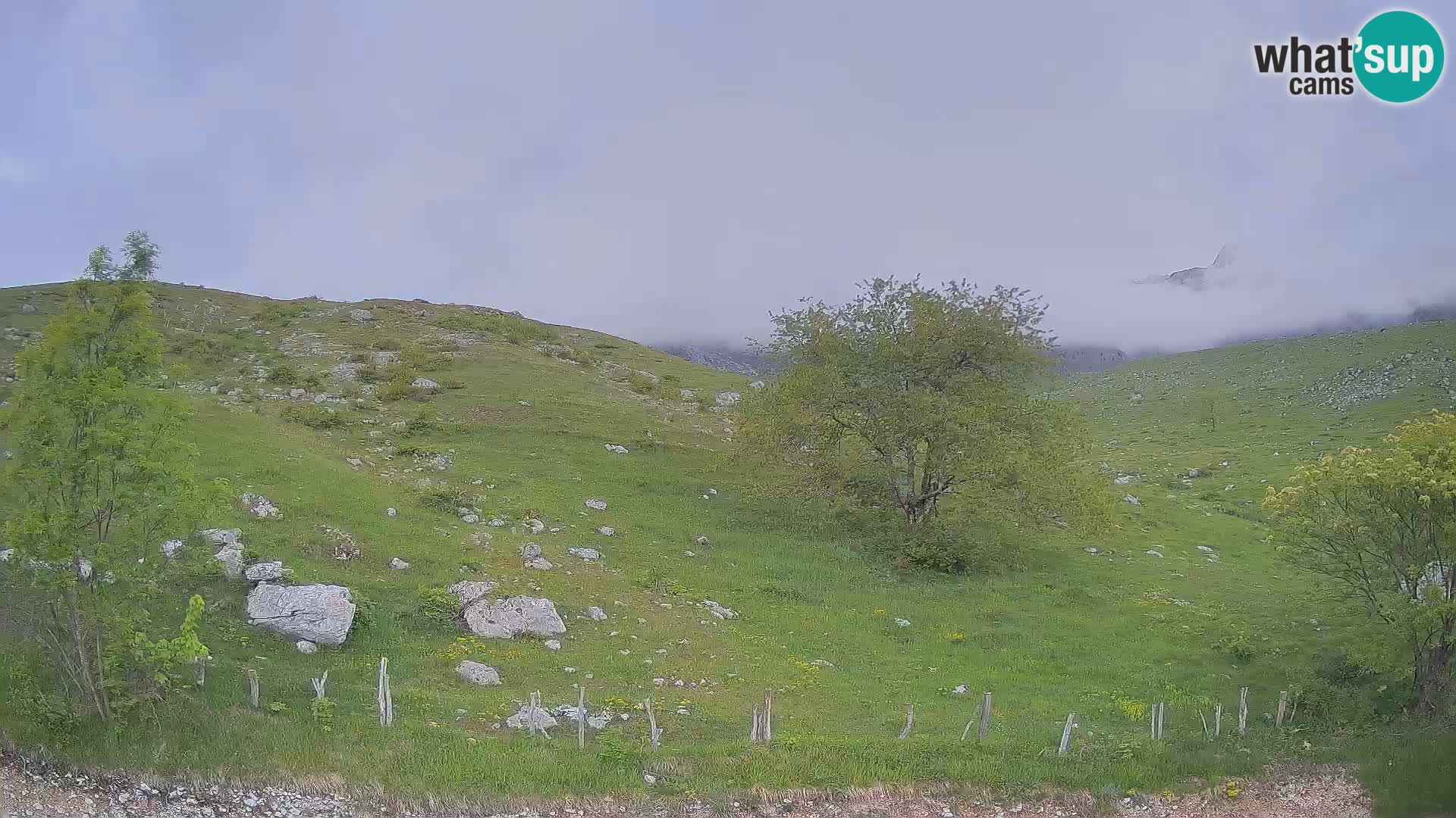 Livecam Planina Kuhinja – KRN- Kobarid – Slovénie