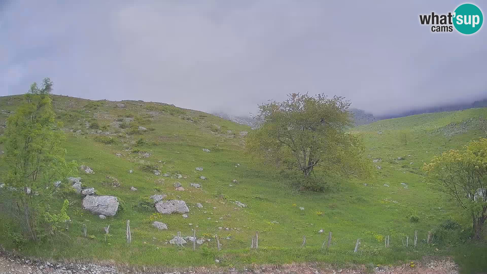 Livecam Planina Kuhinja – KRN- Kobarid – Slovénie