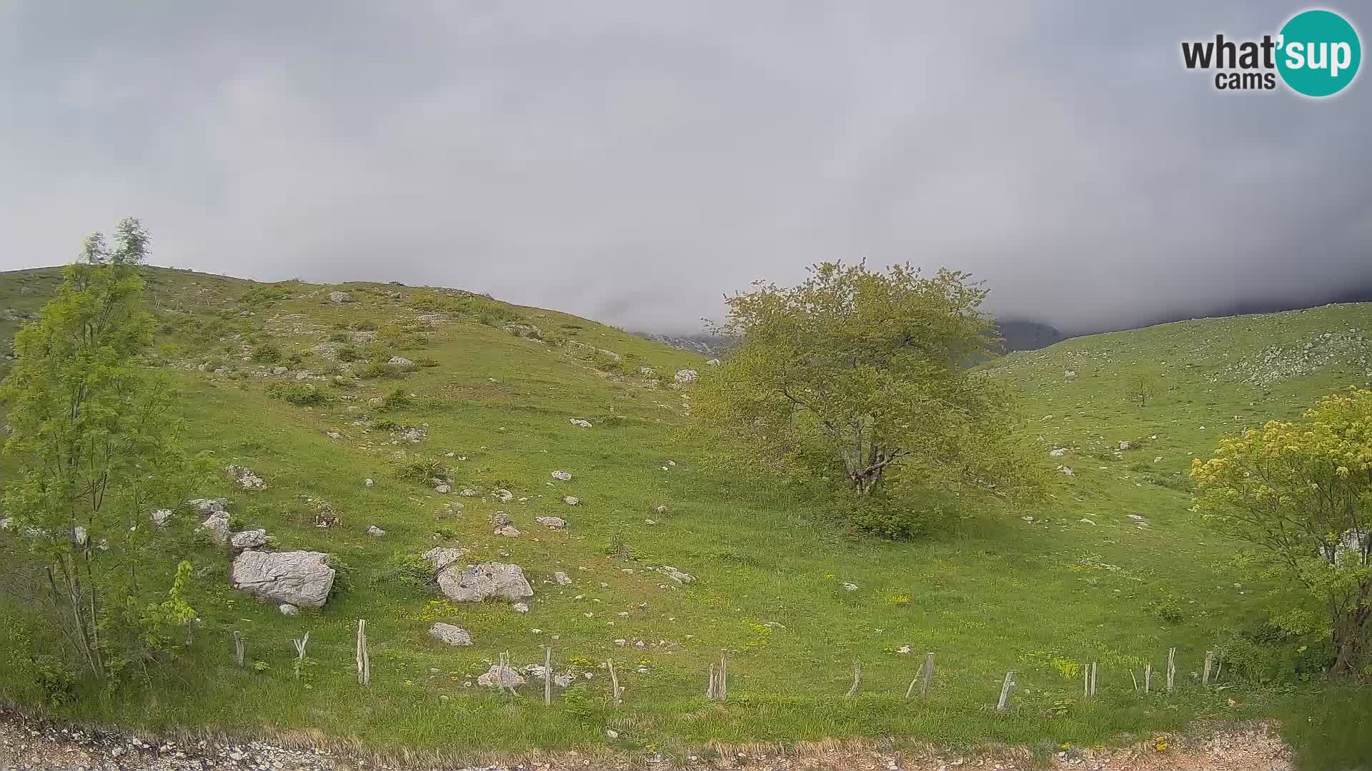 Cámara en Vivo de Planina Kuhinja – KRN – Kobarid – Eslovenia