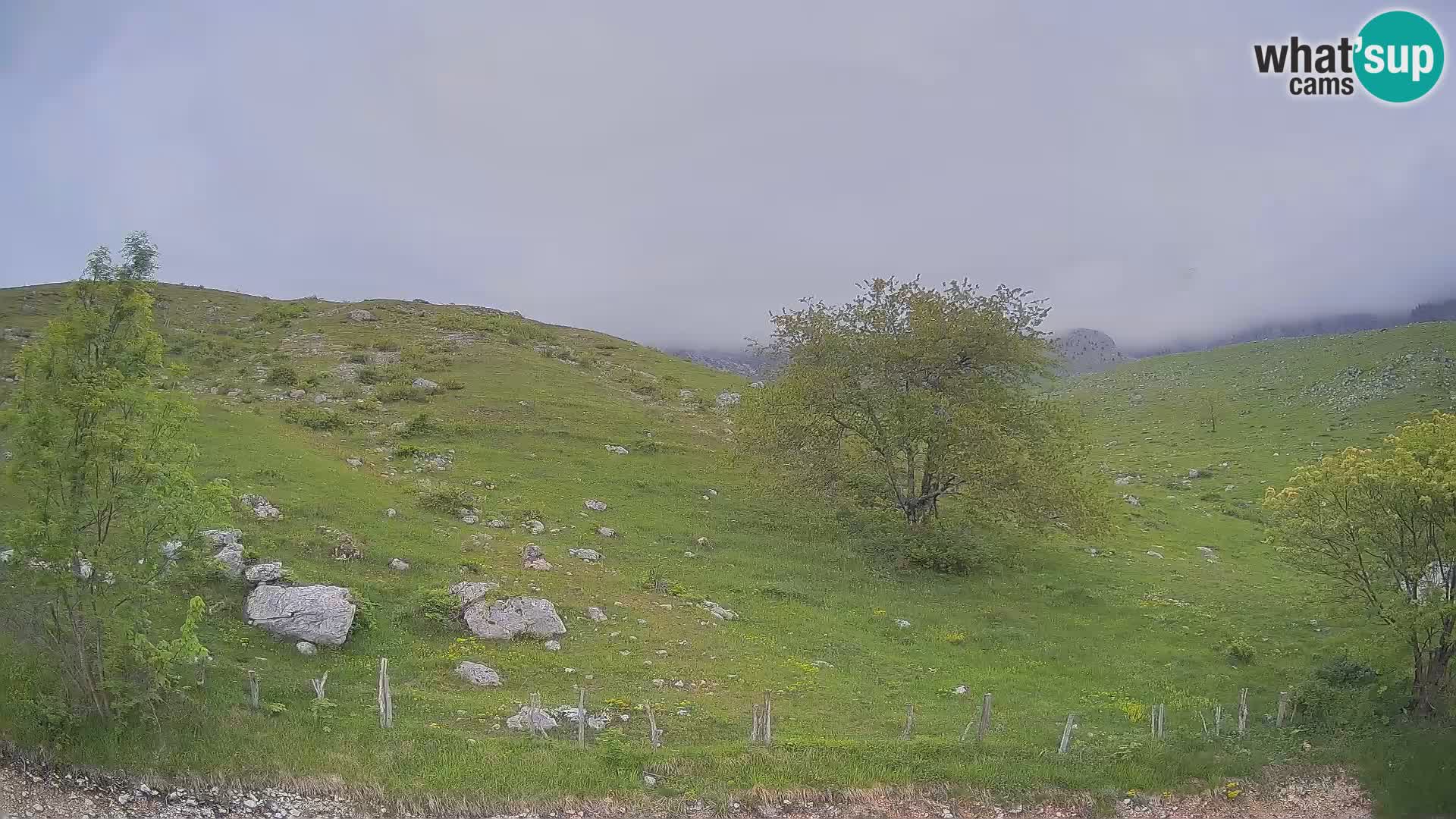 Cámara en Vivo de Planina Kuhinja – KRN – Kobarid – Eslovenia