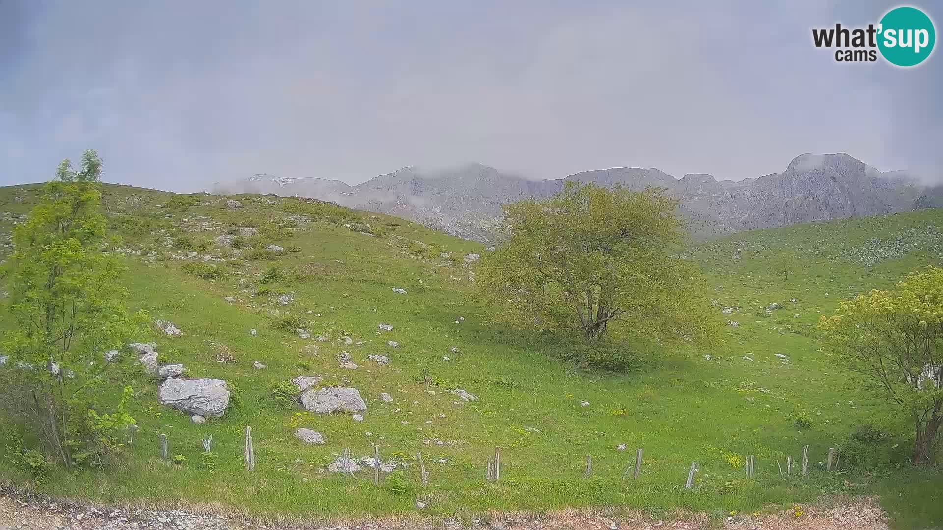 Livecam Planina Kuhinja – KRN- Kobarid – Slovénie