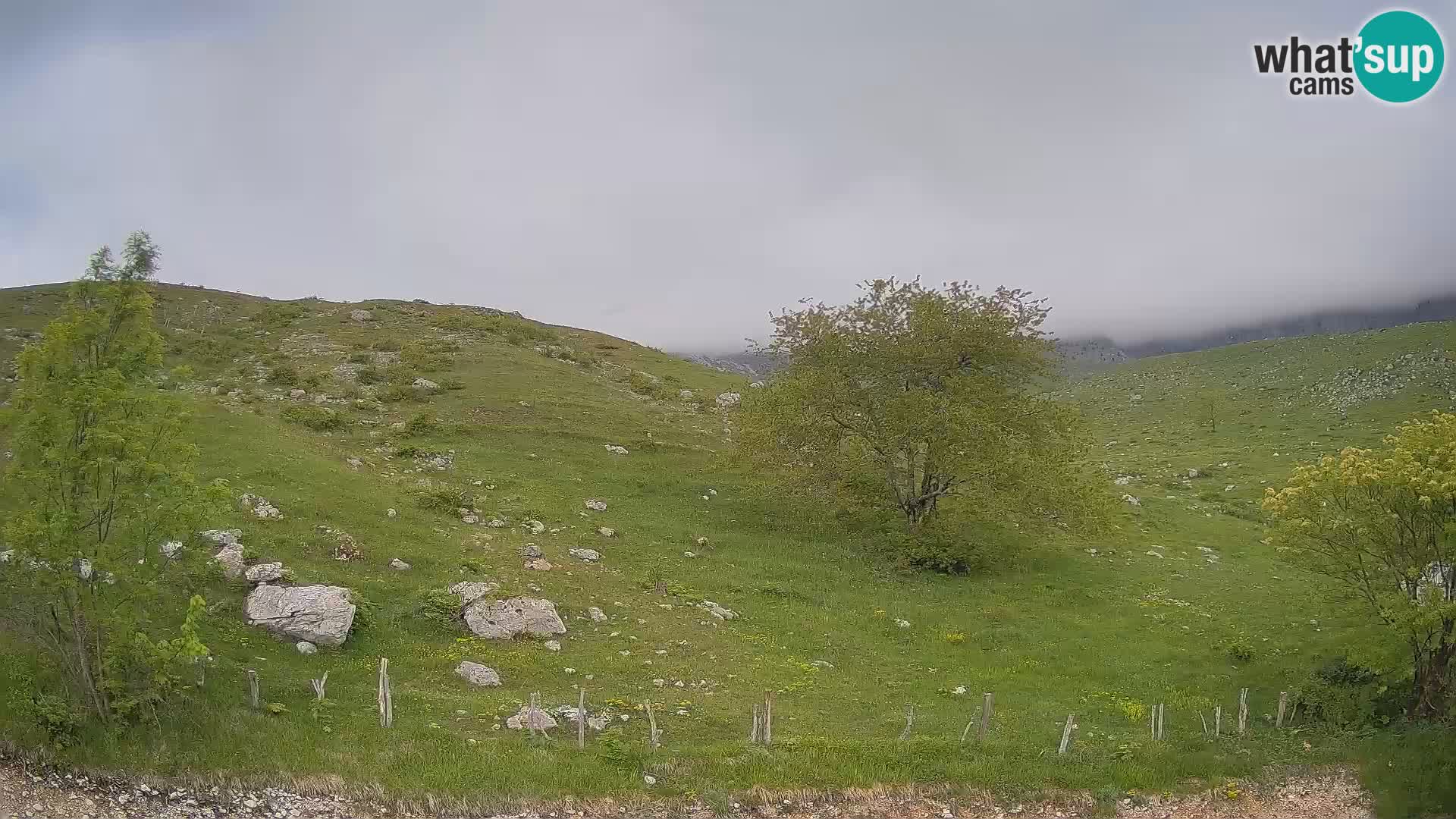 Spletna kamera Planina Kuhinja – KRN – Kobarid