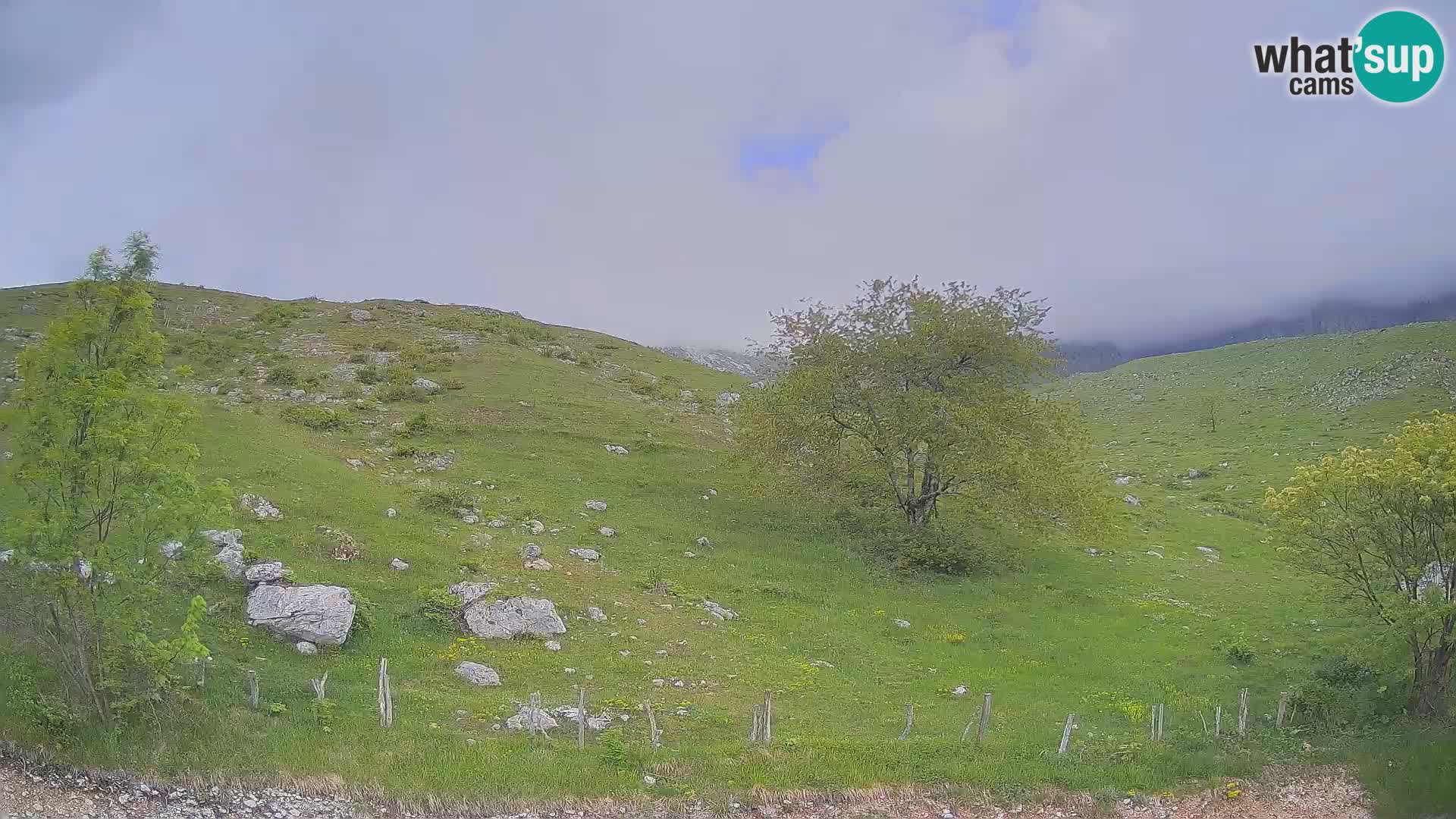 Spletna kamera Planina Kuhinja – KRN – Kobarid