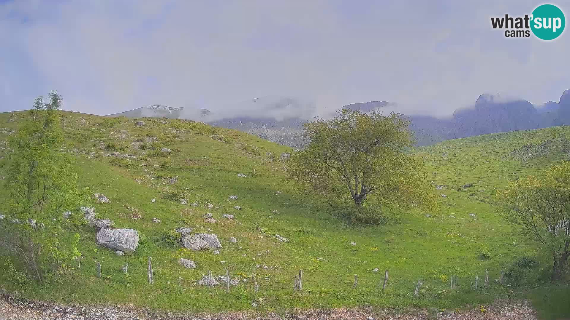 Spletna kamera Planina Kuhinja – KRN – Kobarid