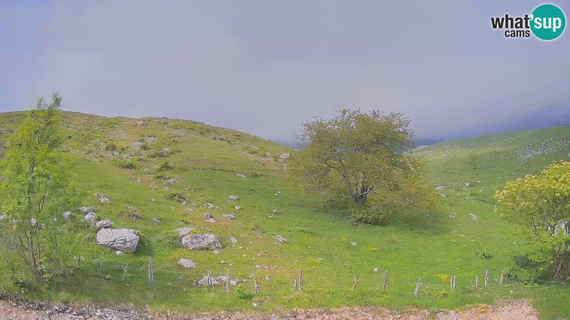 Cámara en Vivo de Planina Kuhinja – KRN – Kobarid – Eslovenia