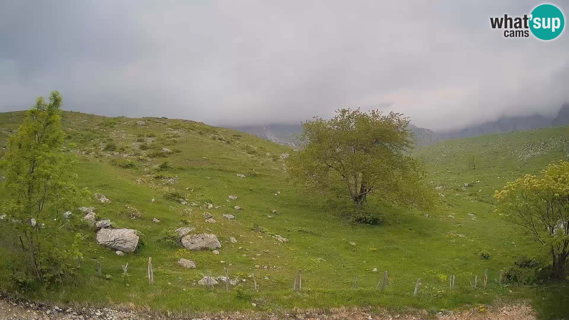 Webcam Krn – Planina Kuhinja ( Plateau Kuhinja ) – Kobarid – Slovenia
