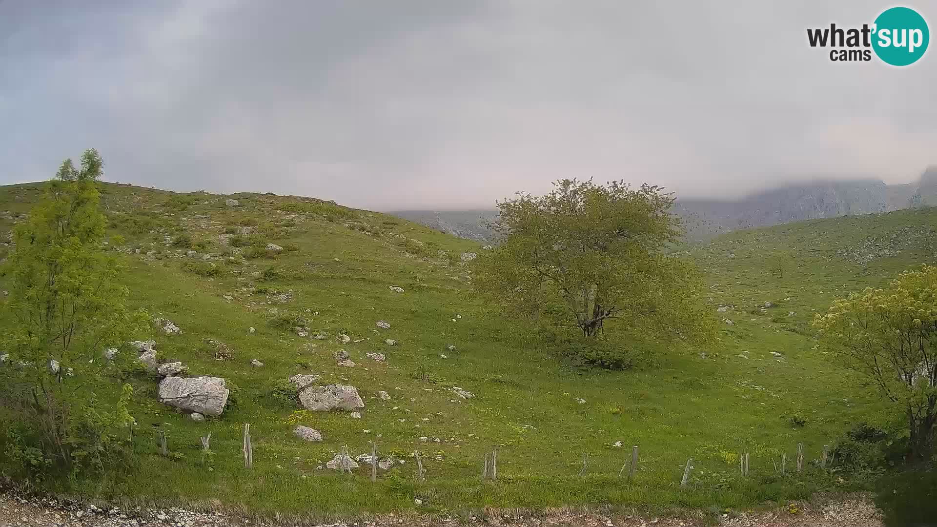 Webcam Planina Kuhinja – KRN – Kobarid – Slowenien