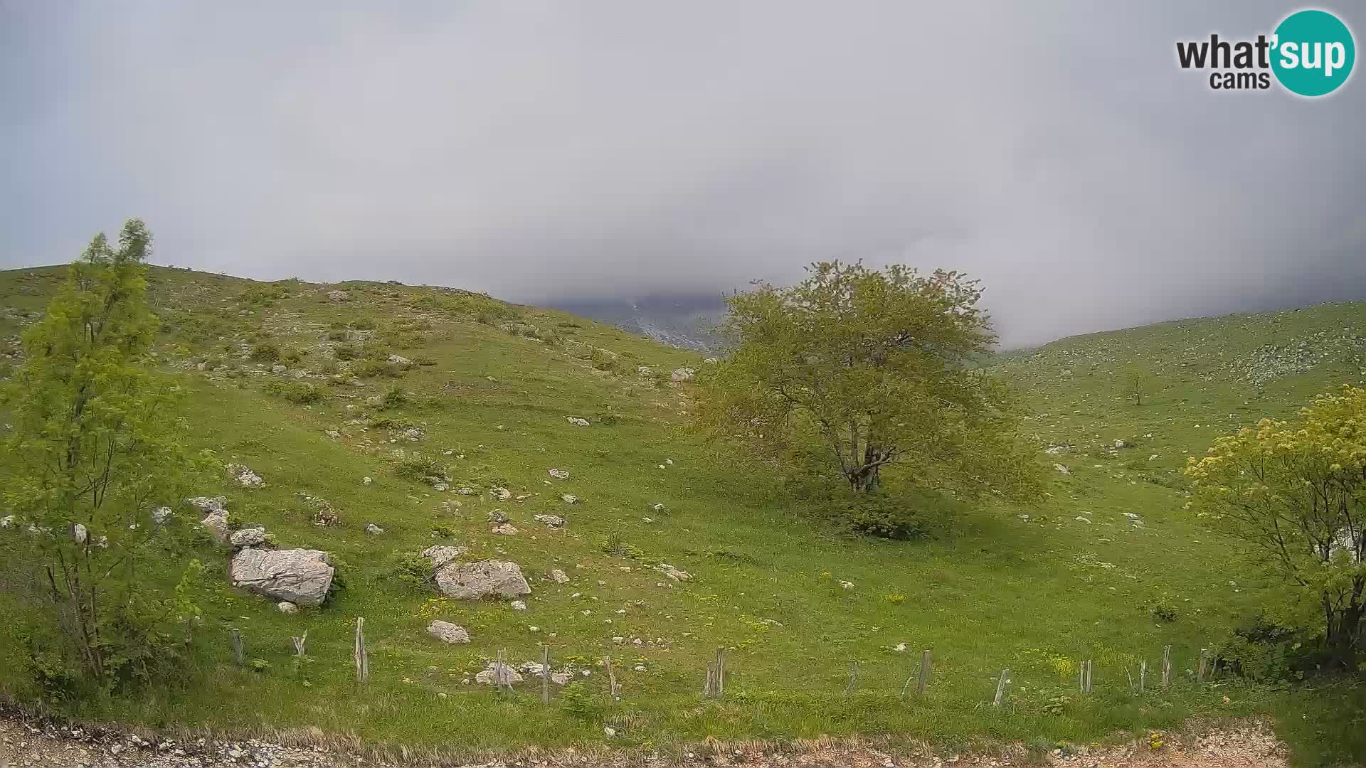 Livecam Planina Kuhinja – KRN- Kobarid – Slovénie