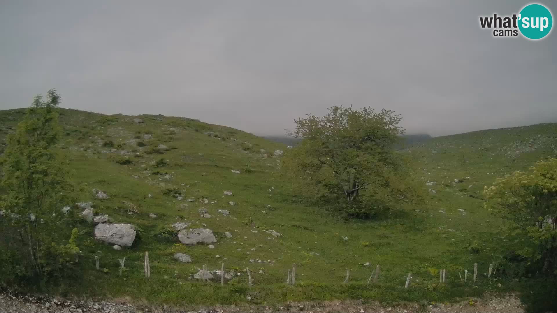 Webcam Krn – Planina Kuhinja ( Plateau Kuhinja ) – Kobarid – Slovenia