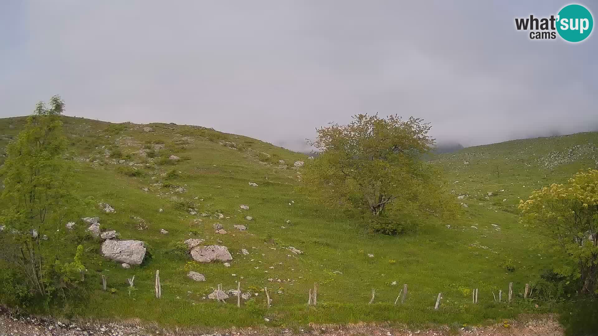 Spletna kamera Planina Kuhinja – KRN – Kobarid