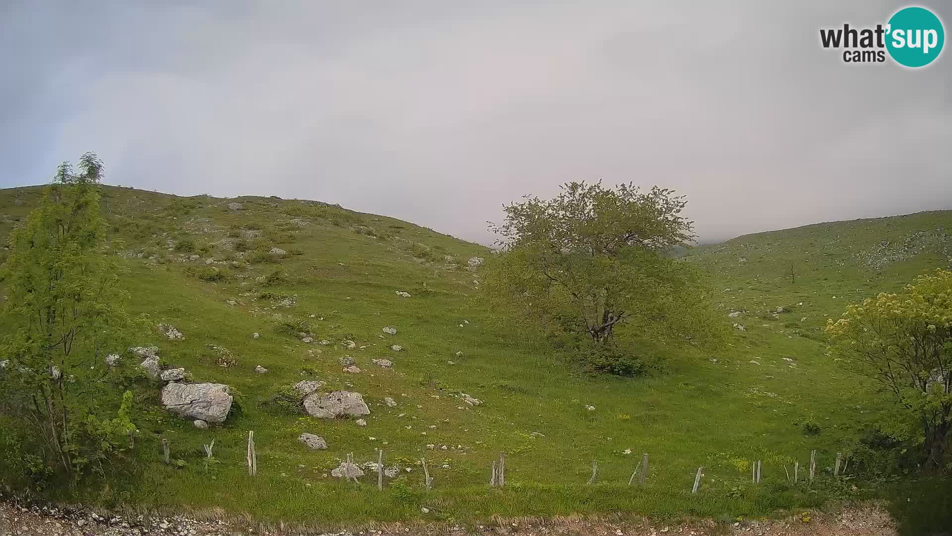 Cámara en Vivo de Planina Kuhinja – KRN – Kobarid – Eslovenia