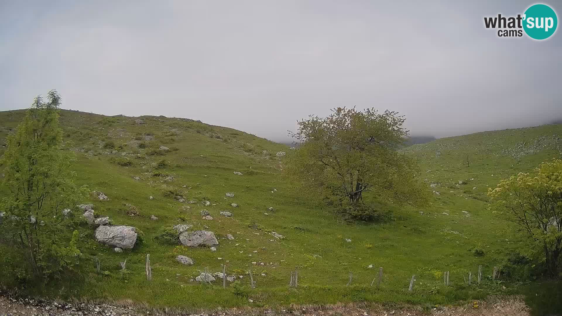 Livecam Planina Kuhinja – KRN- Kobarid – Slovénie