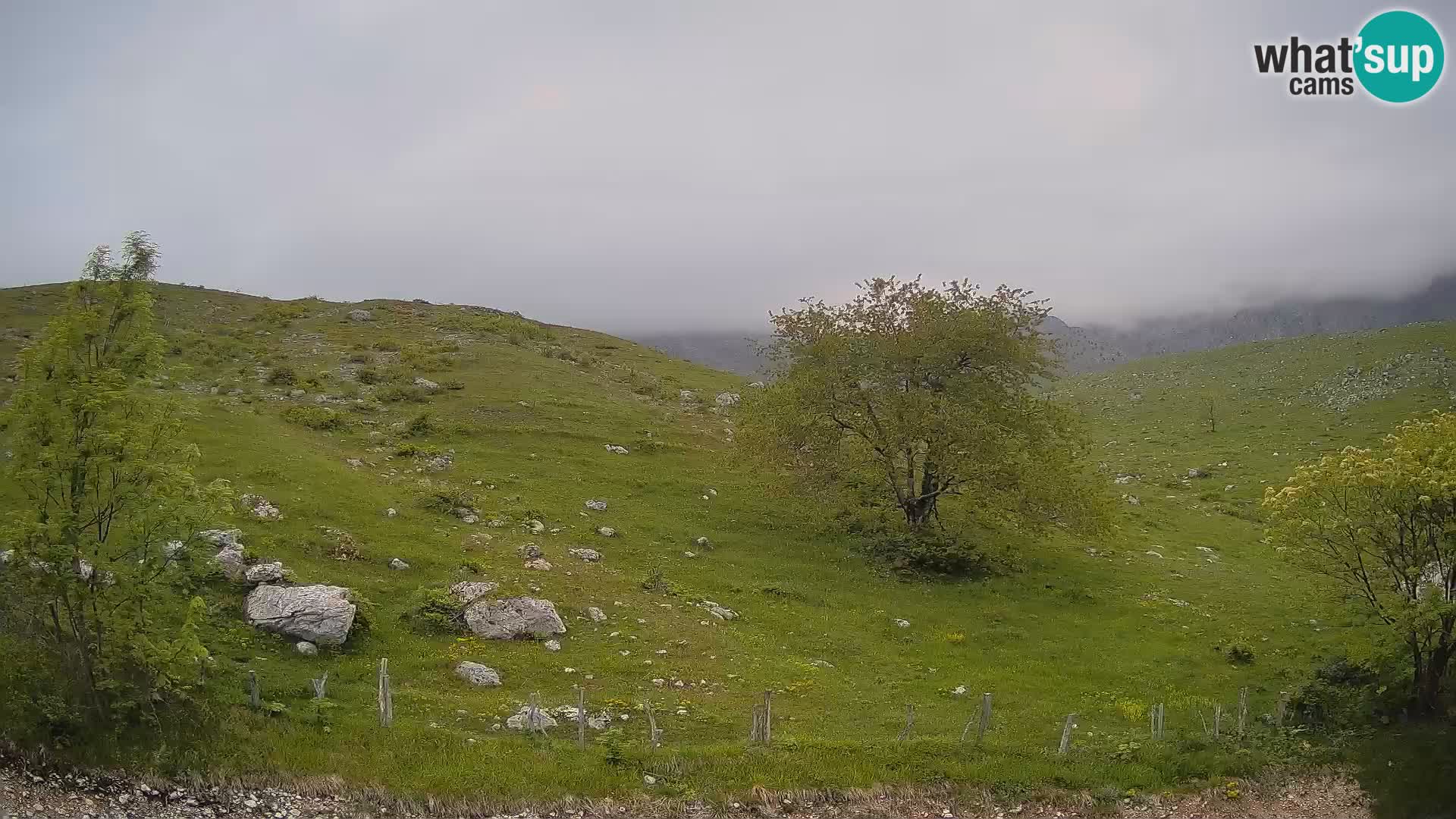Livecam Planina Kuhinja – KRN- Kobarid – Slovénie