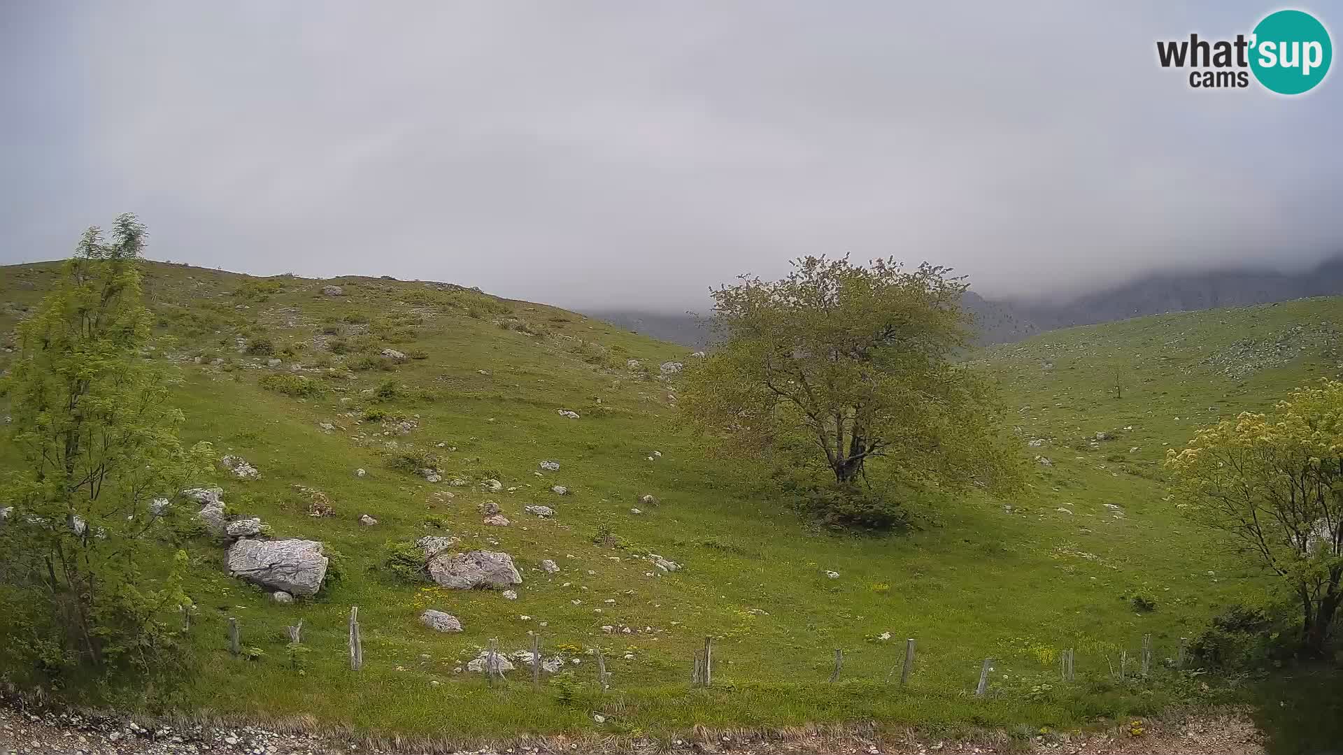 Web kamera Planina Kuhinja – KRN – Kobarid – Slovenija