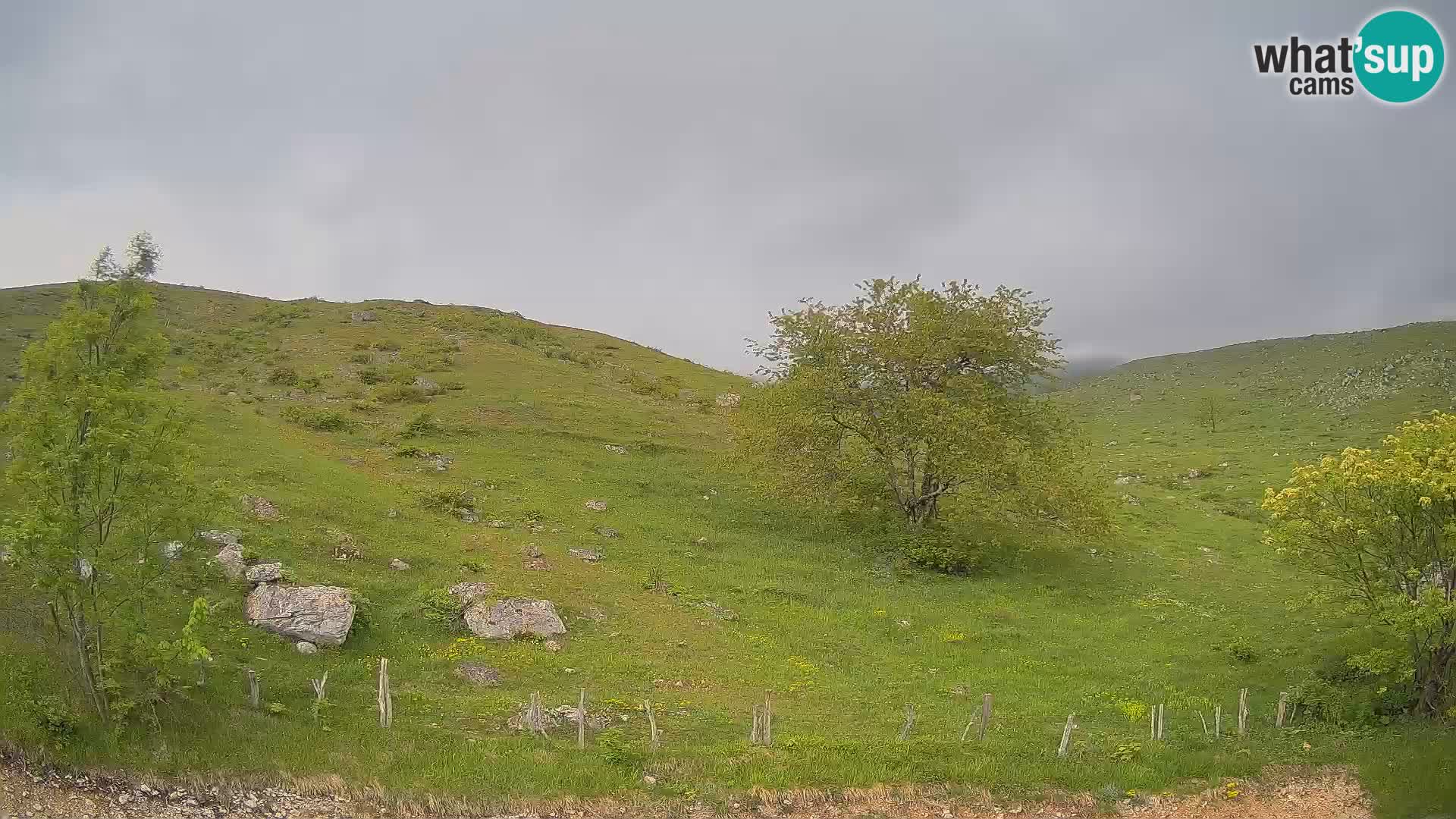 Webcam Planina Kuhinja – KRN – Kobarid – Slowenien