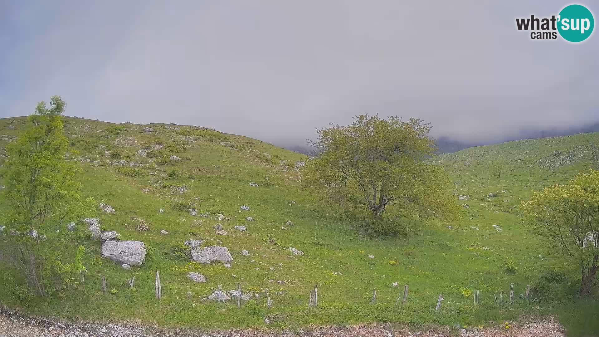 Livecam Planina Kuhinja – KRN- Kobarid – Slovénie
