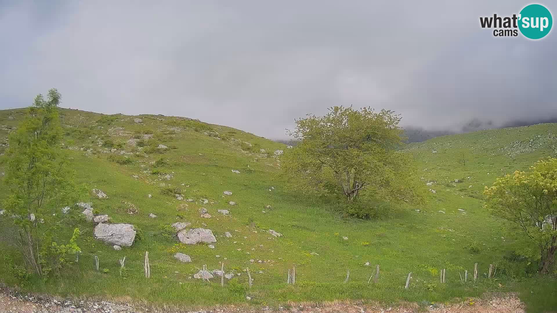 Webcam Krn – Planina Kuhinja ( Plateau Kuhinja ) – Kobarid – Slovenia
