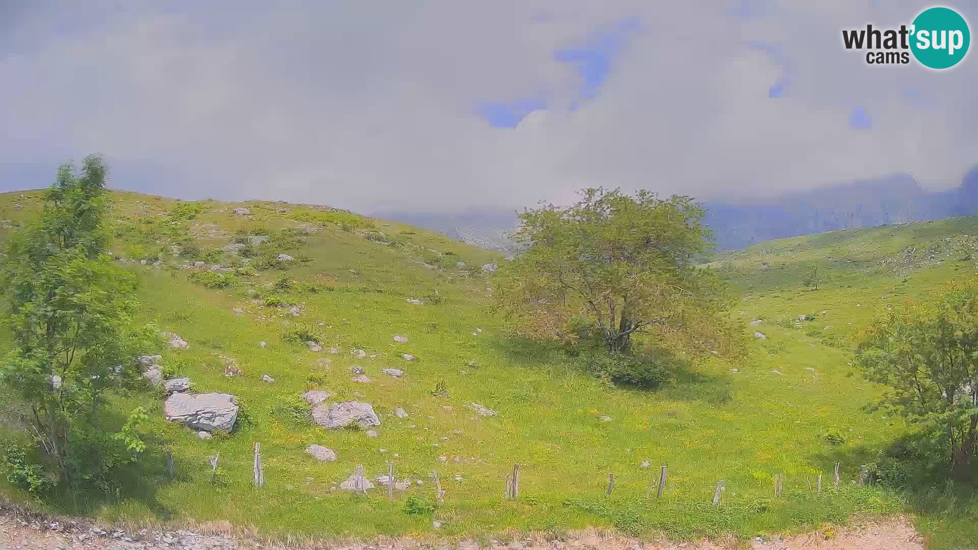 Cámara en Vivo de Planina Kuhinja – KRN – Kobarid – Eslovenia