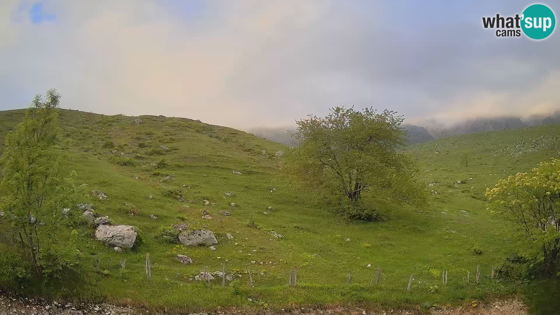 Webcam Krn – Planina Kuhinja ( Plateau Kuhinja ) – Kobarid – Slovenia