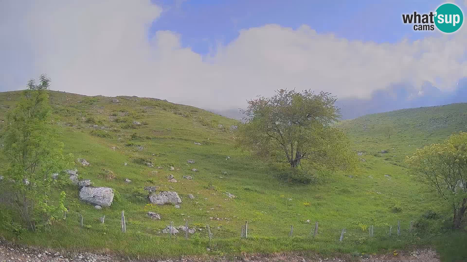Spletna kamera Planina Kuhinja – KRN – Kobarid